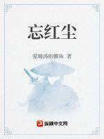 忘羡之红尘相依