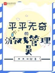 游戏管理员是啥