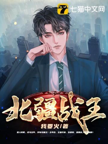北王战刀免费阅读