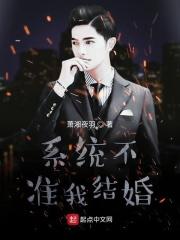 系统不许我撩汉