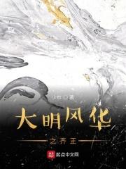 大明风华完整版