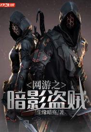 网游之暗影盗贼TXT