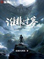 谁不是过客