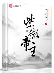 紫微大帝实力