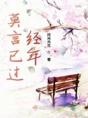 过去的年 莫言