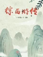 西游之传道诸天