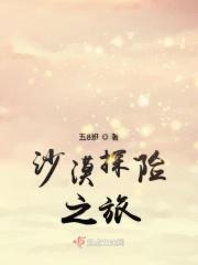沙漠探险之旅作文