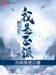 我真的是正派TXT全本