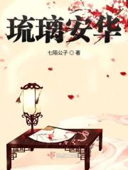 琉璃安大家电视剧