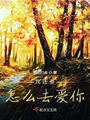 我要怎样去爱你歌词