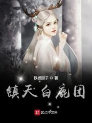 白鹿镇的历史