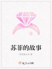 苏菲的故事完整版