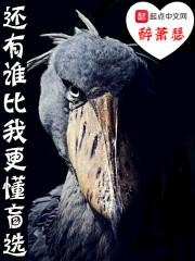 还有谁比我更美