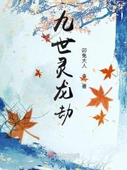 九世灵猫轮回录