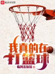 我真的在打篮球日语
