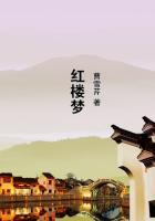 红楼梦第六回