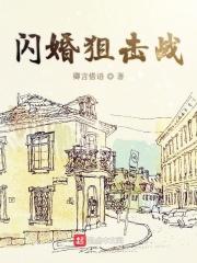 闪婚20集