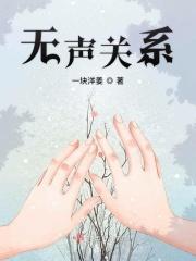 无声讲的是啥