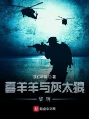 喜羊羊与灰太狼之明喜