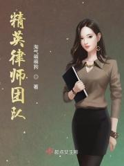 精英律师最后一集剧情介绍