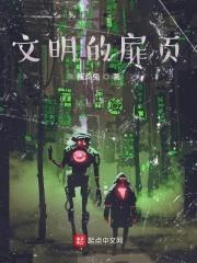 文明的碎片书籍
