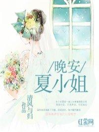 晚安小姐全文免费阅读
