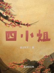 主角是宰相府的二小姐的
