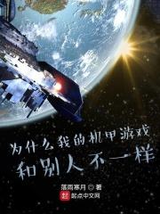 为什么我的机甲游戏和别人不一样txt