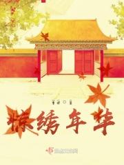锦绣年华的意思