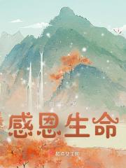 感恩生命中的相遇