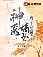 神医嫡女六皇子和谁在一起了