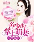 闪婚蜜爱帝少溺宠天后妻