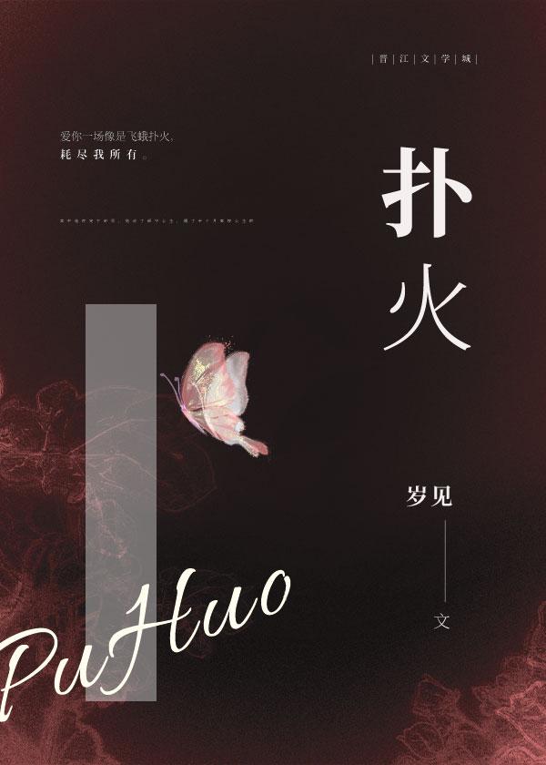 扑火的飞蛾歌词