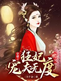 穿越狂妃闯天下