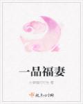 一品夫人是什么地位