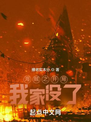 海贼之开局有孩子的
