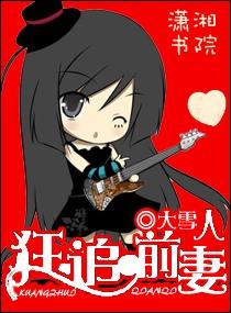 前夫追妻总裁追妻忙