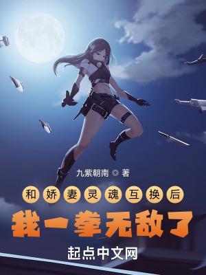 和老婆灵魂互换后我怀孕了公子闻筝
