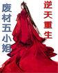 穿越废材逆天五小姐