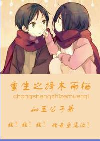 择木而栖无删减
