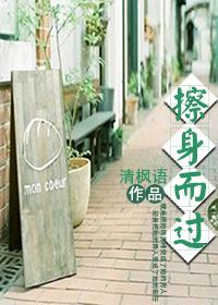 擦身而过讲的什么