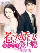 墨少难惹娇妻带球跑
