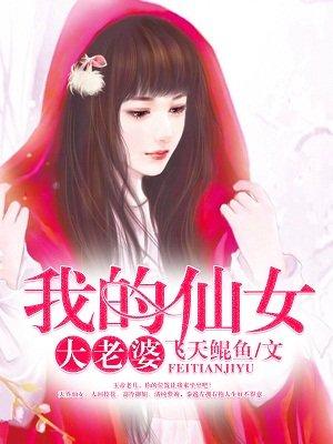 我的大小仙女老婆电子书