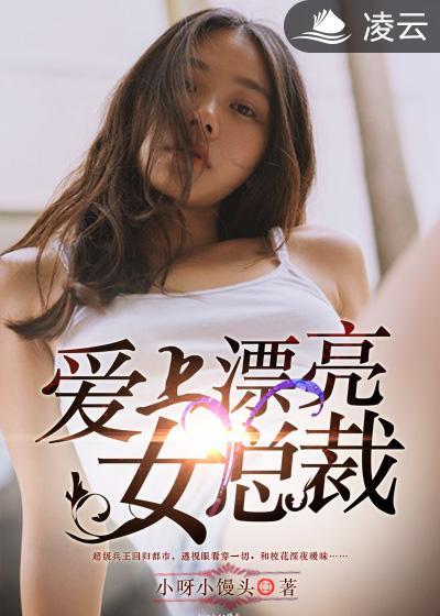 电视剧爱上女总裁