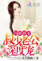 闪婚老公轻点宠权振于