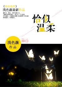 恰似温柔似暖阳上一句
