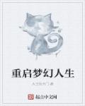 梦幻人生的意思
