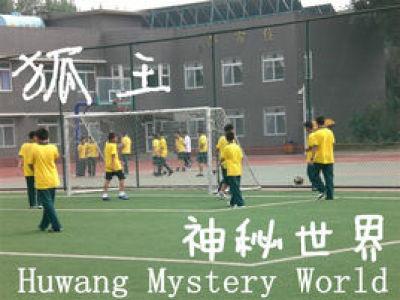 狐王啥意思