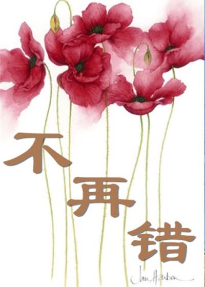 不再错过沈清欢