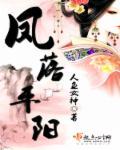 凤落平阳全文阅读